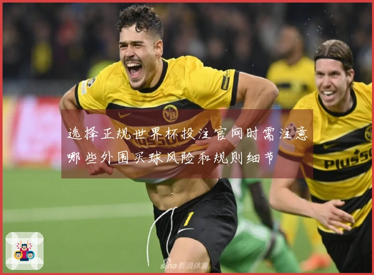 选择正规世界杯投注官网时需注意哪些外围买球风险和规则细节