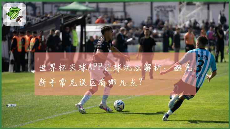 世界杯买球APP让球玩法解析，避免新手常见误区有哪几点？