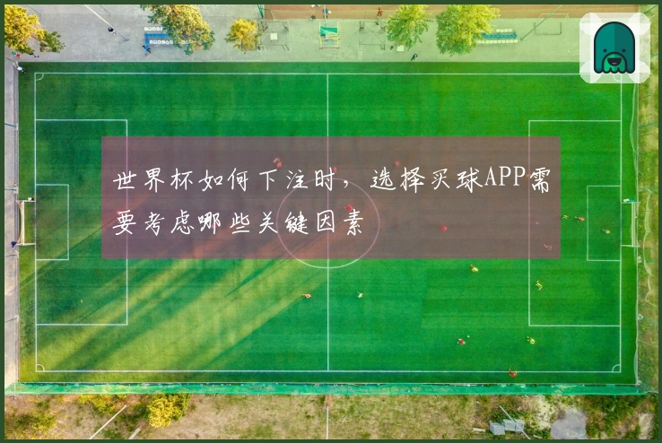 世界杯如何下注时，选择买球APP需要考虑哪些关键因素