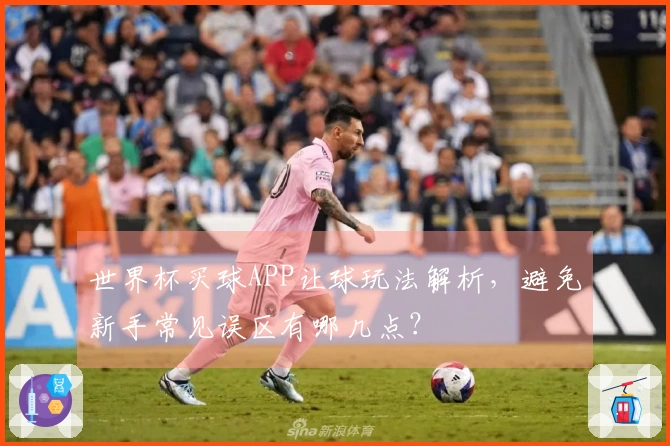 世界杯买球APP让球玩法解析，避免新手常见误区有哪几点？