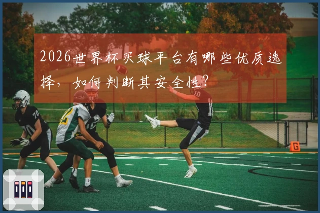 2026世界杯买球平台有哪些优质选择，如何判断其安全性？