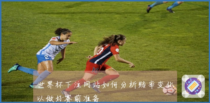 世界杯下注网站如何分析赔率变化以做好赛前准备