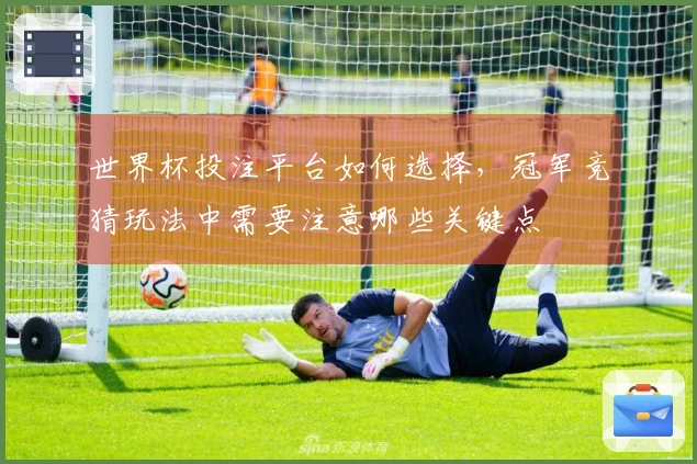 世界杯投注平台如何选择，冠军竞猜玩法中需要注意哪些关键点