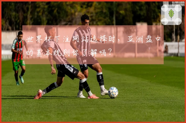 世界杯下注网站选择时，亚洲盘口的基本规则你了解吗？