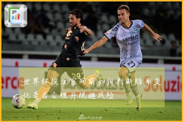 世界杯投注官网前如何判断赔率变化是否合理并规避风险
