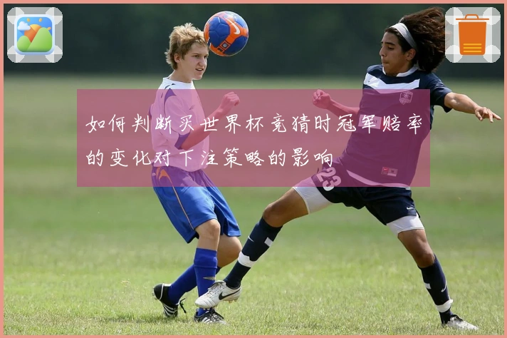 如何判断买世界杯竞猜时冠军赔率的变化对下注策略的影响