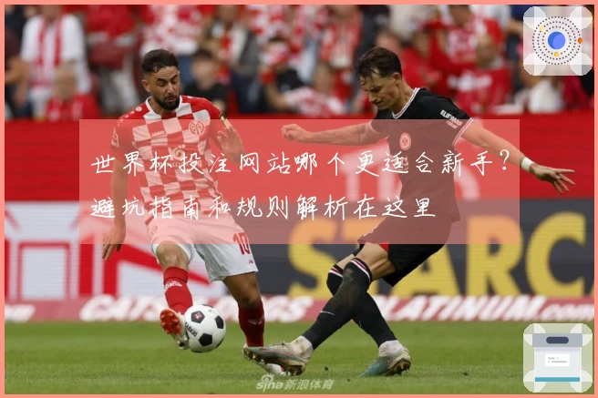世界杯投注网站哪个更适合新手？避坑指南和规则解析在这里