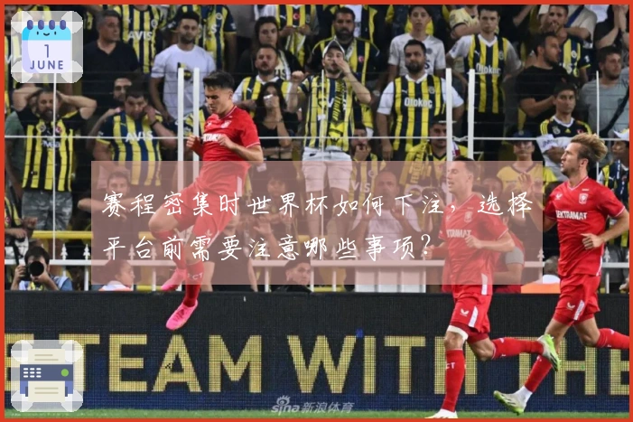 赛程密集时世界杯如何下注，选择平台前需要注意哪些事项？