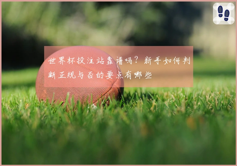 世界杯投注站靠谱吗？新手如何判断正规与否的要点有哪些