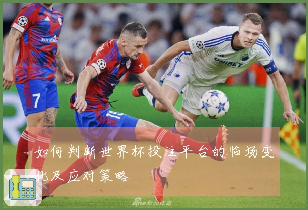 如何判断世界杯投注平台的临场变化及应对策略