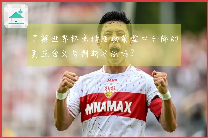 了解世界杯竞猜活动前盘口升降的真正含义与判断方法吗？