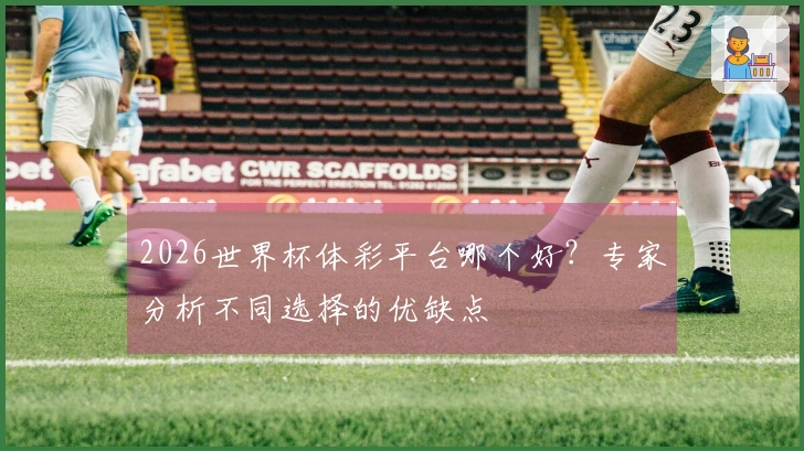 2026世界杯体彩平台哪个好？专家分析不同选择的优缺点