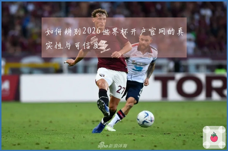 如何辨别2026世界杯开户官网的真实性与可信度？