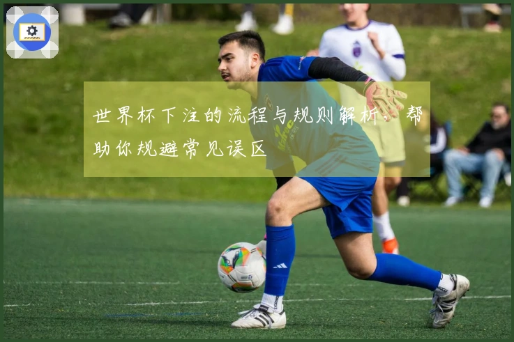 世界杯下注的流程与规则解析，帮助你规避常见误区