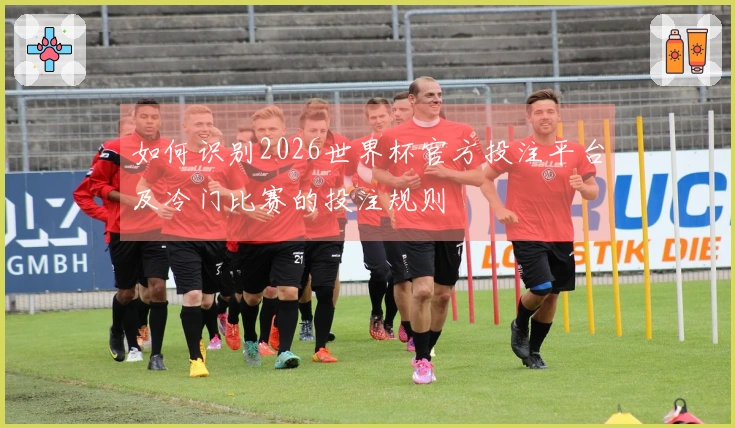如何识别2026世界杯官方投注平台及冷门比赛的投注规则