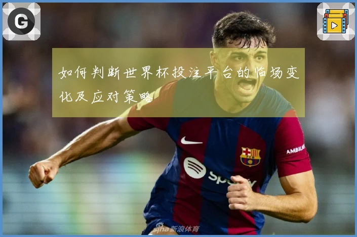 如何判断世界杯投注平台的临场变化及应对策略