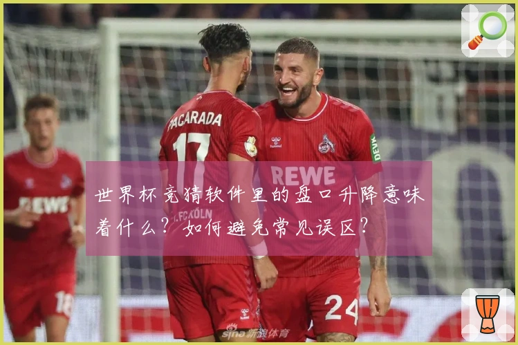 世界杯竞猜软件里的盘口升降意味着什么？如何避免常见误区？
