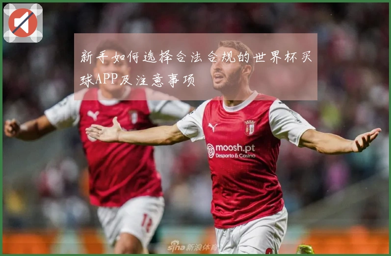 新手如何选择合法合规的世界杯买球APP及注意事项