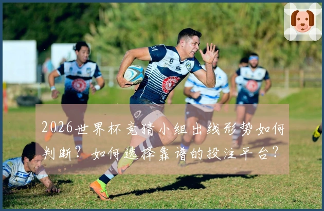2026世界杯竞猜小组出线形势如何判断？如何选择靠谱的投注平台？