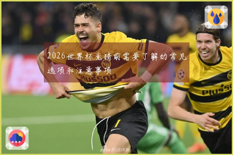 2026世界杯竞猜前需要了解的常见选项和注意事项