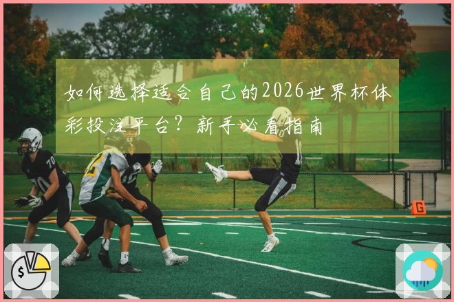 如何选择适合自己的2026世界杯体彩投注平台？新手必看指南