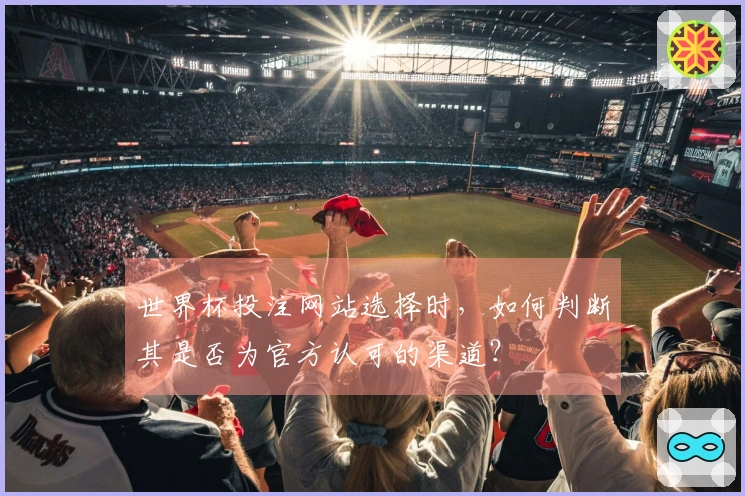 世界杯投注网站选择时，如何判断其是否为官方认可的渠道？