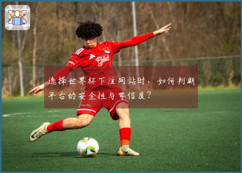 选择世界杯下注网站时，如何判断平台的安全性与可信度？