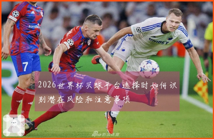 2026世界杯买球平台选择时如何识别潜在风险和注意事项