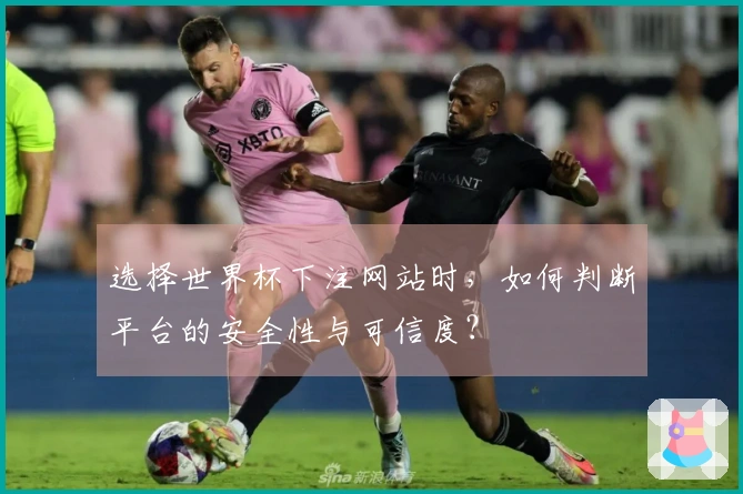 选择世界杯下注网站时，如何判断平台的安全性与可信度？