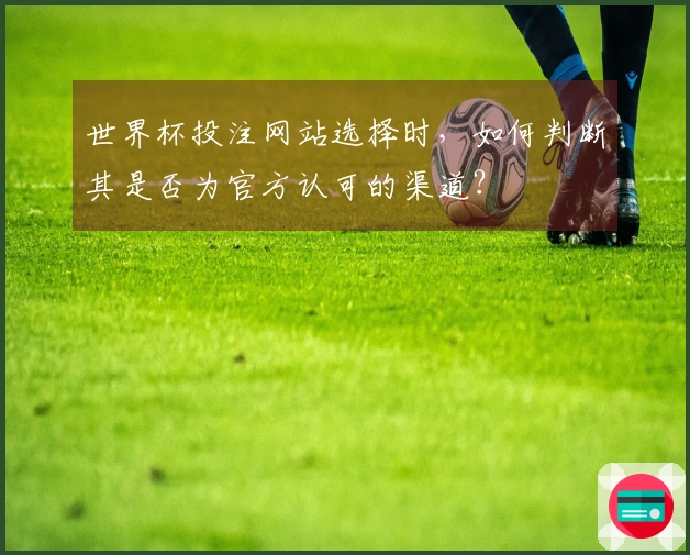 世界杯投注网站选择时，如何判断其是否为官方认可的渠道？