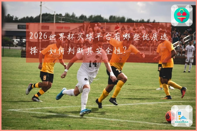 2026世界杯买球平台有哪些优质选择，如何判断其安全性？