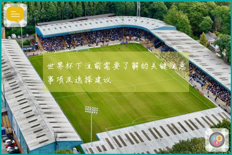 世界杯下注前需要了解的关键注意事项及选择建议