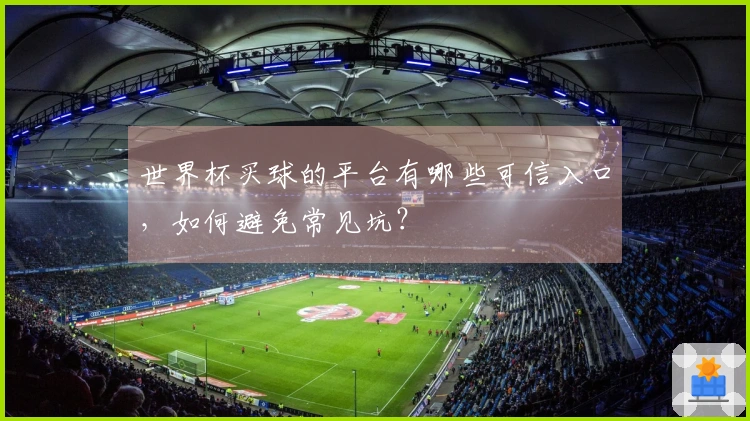 世界杯买球的平台有哪些可信入口，如何避免常见坑？
