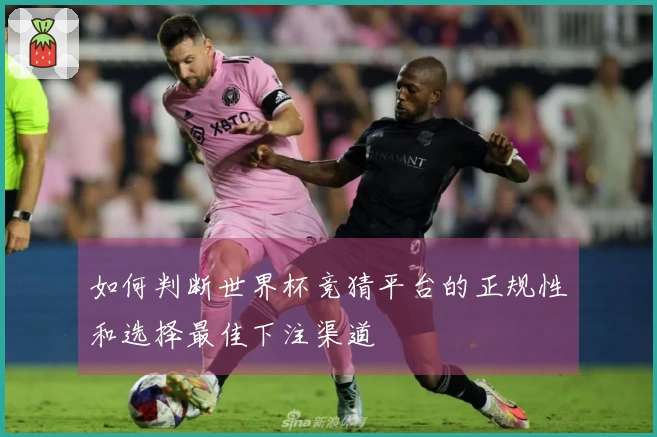 如何判断世界杯竞猜平台的正规性和选择最佳下注渠道