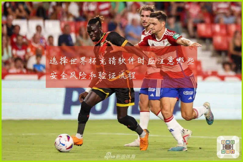 选择世界杯竞猜软件时应注意哪些安全风险和验证流程