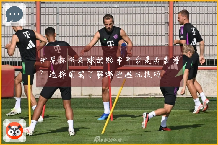 世界杯买足球的赔率平台是否靠谱？选择前需了解哪些避坑技巧