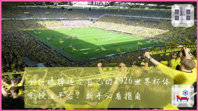 如何选择适合自己的2026世界杯体彩投注平台?新手必看指南